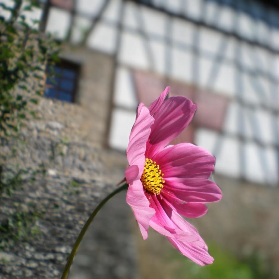 Villa Gut Bunt Ferienhaus Runkel Exterior foto